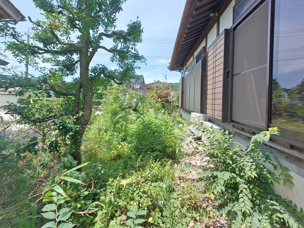 伐採・除草・防草工事前の草木が繁茂した庭